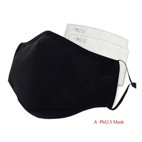 Mask with 2 Replaceable Filters Anti